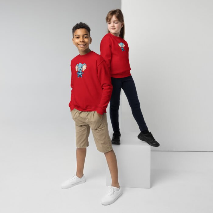 Sudadera clásica niño