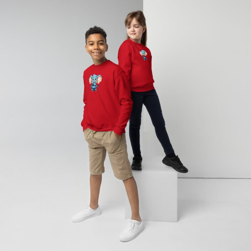 Sudadera clásica niño
